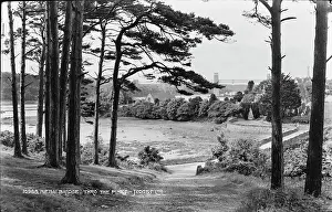 Menai Prints: Menai Bridge Through the Pines
