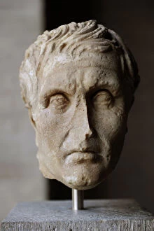 Athens Collection: Menander (ca. 342-ca. 292 BC). Portrait
