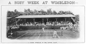 Mens Singles / Wimbledon