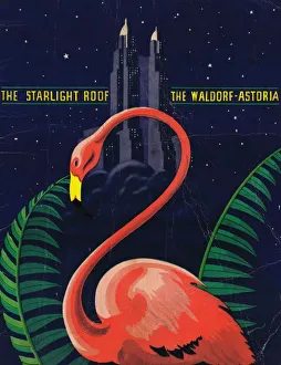 Night Life Collection: Menu - Starlight Roof at the Waldorf Astoria