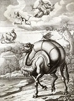 Fables Gallery: MERCURY AND THE CAMEL