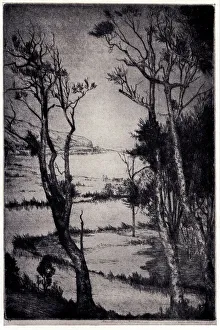 Shallow Prints: Merewether Lagoon