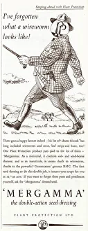 Images Dated 1st December 2020: Mergamma pesticide advert, 1951