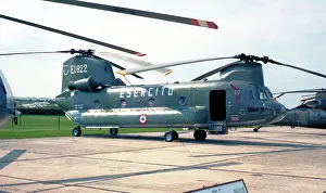 Italiano Prints: Meridionali CH-47C Chinook MM80844 - E.I.822