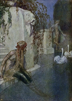 Andersen Gallery: The Mermaid