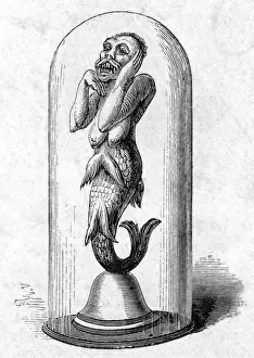 Mermaid Exhibit, London