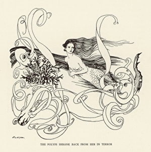 Andersen Gallery: Mermaid / Octopus Rackham