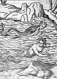 Images Dated 18th June 2018: MERMAIDS IN WATER