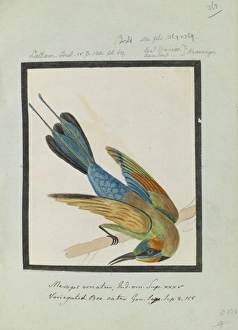Images Dated 2013 October: 25 Oct 2013 Collection