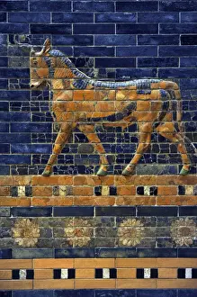 Rebuilt Prints: Mesopotamian art. Neo-Babylonian. Ishtar Gate. Aurochs. Perg