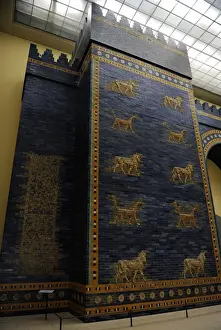 Mesopotamian art. Neo-Babylonian. Ishtar Gate. Pergamon Mus