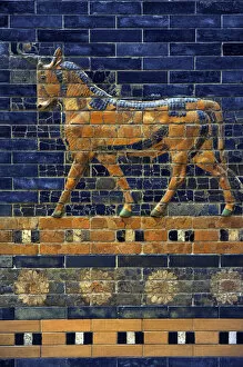 Images Dated 16th January 2012: Mesopotamian art. Neo-Babylonian. Ishtar Gate. Aurochs. Perg