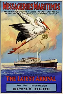 Ship Posters Collection: Messageries Maritimes poster