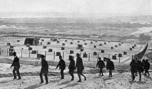 Messengers Prints: Messenger dog depot on the Western Front