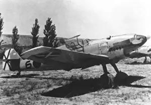 Warbird Prints: Messerschmitt Bf-109D-1