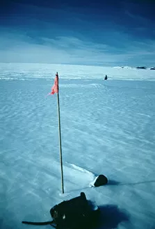Frozen Gallery: Meteorite in Antarctica