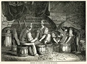 Anchovy Gallery: Method of curing anchovies in Sicily 1834