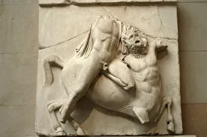 Remain Collection: Metope. Parthenon marbles. Battle between the Centaurs and A