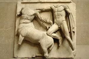 Images Dated 1st April 2008: Metope. Parthenon marbles. Battle between the Centaurs and t