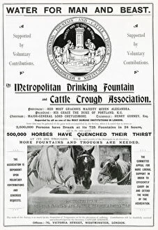 Provide Gallery: Metropolitan drinking Fountain and cattle trough association