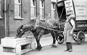 Trough Prints: Metropolitan Drinking Fountain & Cattle Trough Assoc. trough