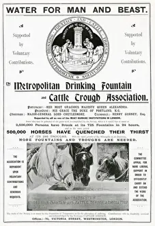 Supported Prints: Metropolitan drinking Fountain and cattle trough association