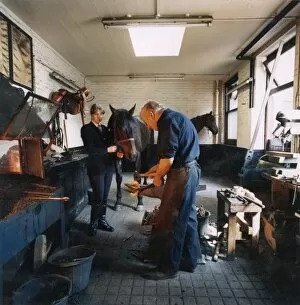 Images Dated 19th January 2011: Metropolitan Police blacksmith with WPC and horses