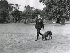 Images Dated 19th January 2011: Metropolitan police dog handler with a dog in a field