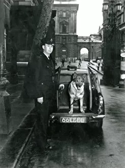 Police Men Gallery: Metropolitan police officer with dog at back of van