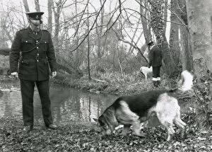 Images Dated 19th January 2011: Two Metropolitan police officers with dogs in a wood