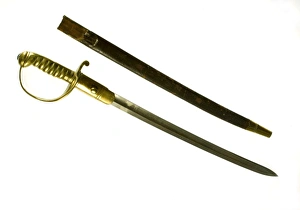 Images Dated 30th March 2009: Metropolitan Police sword and scabbard
