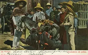 On Lookers Prints: Mexican Turkey Seller