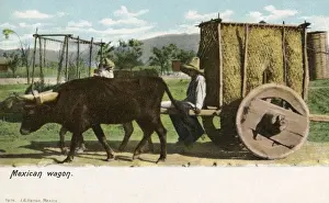 Yolk Prints: Mexican Wagon with solid wheels