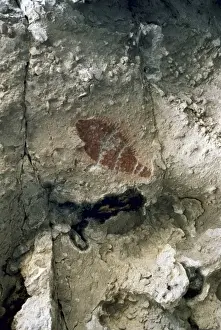 Baja Prints: MEXICO. BAJA CALIFORNIA SUR. Rock Paintings of