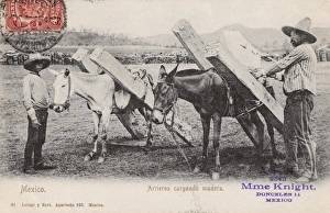 Images Dated 9th March 2011: Mexico - Carriers loading wood