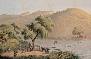 Puebla Gallery: Mexico. Cattle crossing the San Marcos River