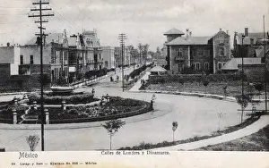 Roundabout Prints: Mexico City - London Street and Dinamarca Street