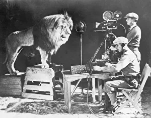 Images Dated 2nd October 2007: MGM LION