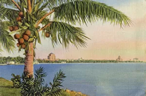 Miami Prints: Miami Beach, Florida, USA Date: 1941