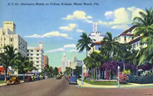 New Images From The Grenville Collins Collection Prints: Miami Beach, Florida, USA - Hotels on Collins Avenue