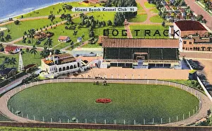 Miami Prints: Miami Beach Kennel Club, Miami, Florida, USA