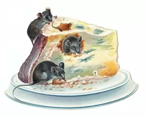 Three mice eating cheese on a cutout greetings card