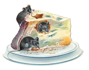 Crumbs Prints: Three mice eating cheese on a cutout greetings card