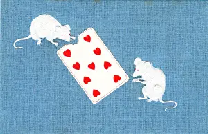 Nibbling Prints: Two mice eating a playing card on a postcard