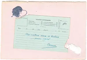Two mice eating a telegram on a New Year postcard