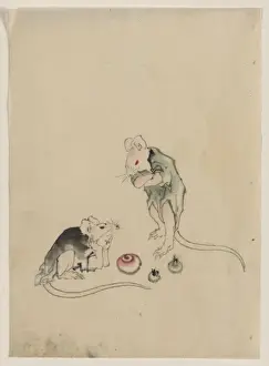 Two mice, one lying on the ground with head resting on forep