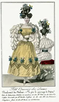 Mid 19th Century Paris fashion