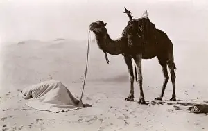 Midday Prints: Midday Prayers in the desert - Algeria