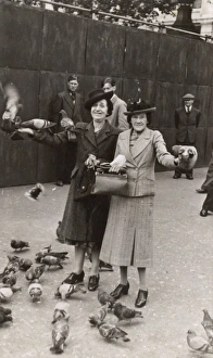 Images Dated 31st March 2017: Two middle-aged women with pigeons