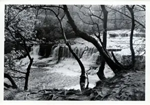 Bedale Prints: Middle Falls, Aysgarth, Yorkshire